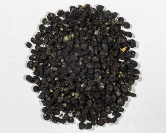 A top down view of a small pile of Ariocarpus fissuratus (False Peyote) seeds.