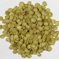 A top down view of a small pile of Chiletepin seeds.