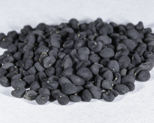 An angled front view of a small pile of Scutellaria baicalensis (Baikal skullcap) seeds.