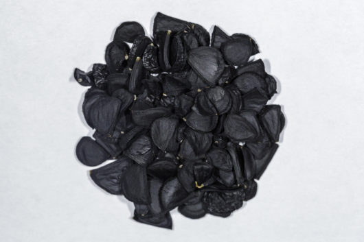 A top down view of a small pile of Hesperaloe parviflora (Red Yucca) seeds.