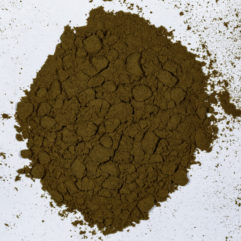 A top down view of a pile of Lactuca virosa (Wild Lettuce) 10x powder extract.