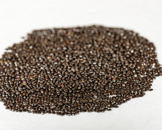 A front angle view of a pile of Coleus blumei (Plectranthus scutellarioides / Solenostemon scutellarioides) seeds