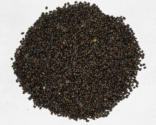 A top down view of a small pile of Nepeta cataria (Catnip) seeds.